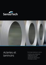 Industrie métallurgique - LiquiSonic® Applications dans les aciéries et laminoirs
