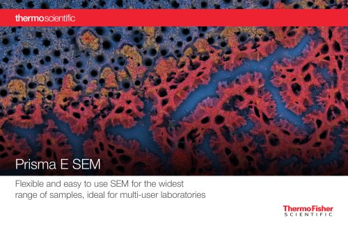 Thermo Scientific Prisma E SEM Brochure