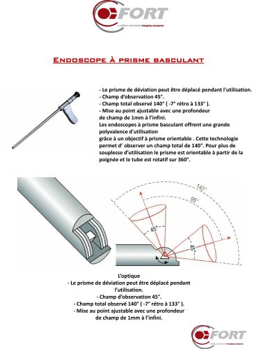 Endoscope Prisme Basculant