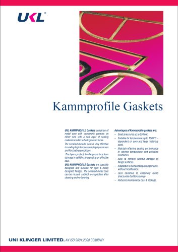 Kammprofile Gasket