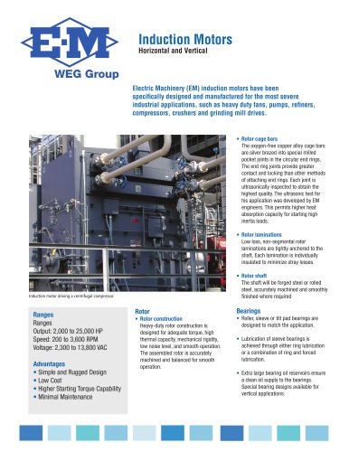 Induction Motors Horizontal and Vertical