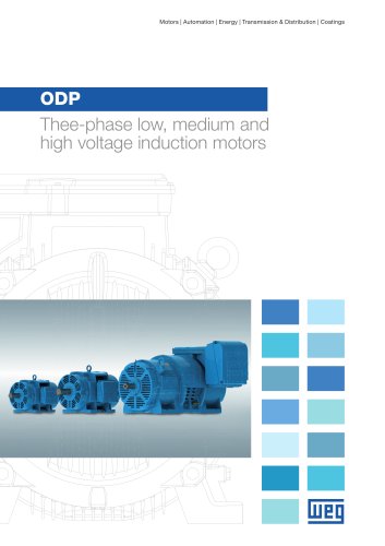 ODP - Thee-phase low, medium and high voltage induction motors