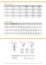 VIS POUR THERMOPLASTIQUE - SERIE IPT - 2