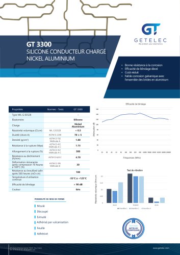 Fiche technique GT3300