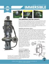 IMMERSIBLE MOTORS