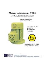 Moteurs Atex - 1