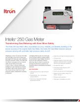 Intelis®  250 Gas Meter