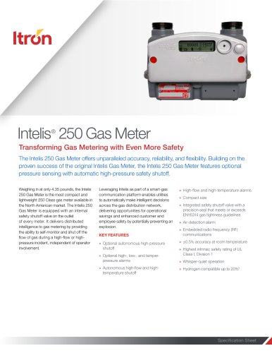 Intelis®  250 Gas Meter