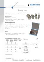 Caractères gravés - 1