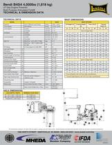 Landoll Corporation Bendi i4 -IC Narrow Aisle Forklift - 2