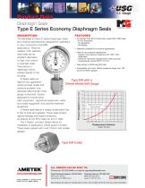 Type-E-Series-Economy-Diaphragm-Seals