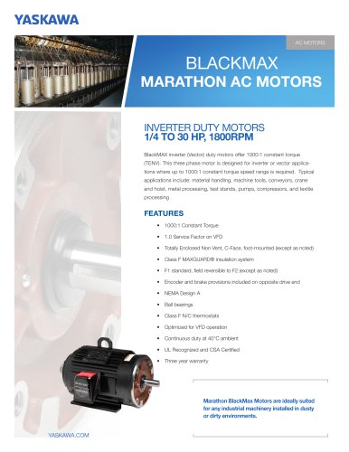 BlackMax Marathon AC Motors