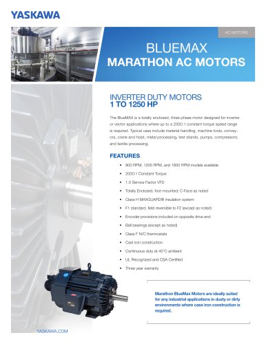 BlueMax Marathon AC Motors