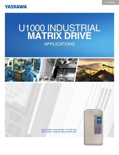 U1000 Industrial Matrix Drive