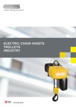 ELECTRIC CHAIN HOISTS TROLLEYS INDUSTRY