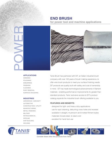 End Brushes