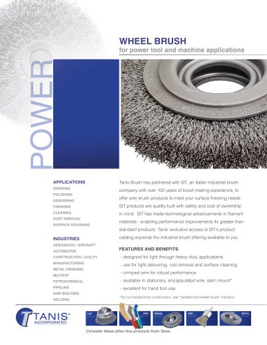 Wire Wheel Brush