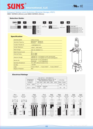 SM32 Safety Limit Switches