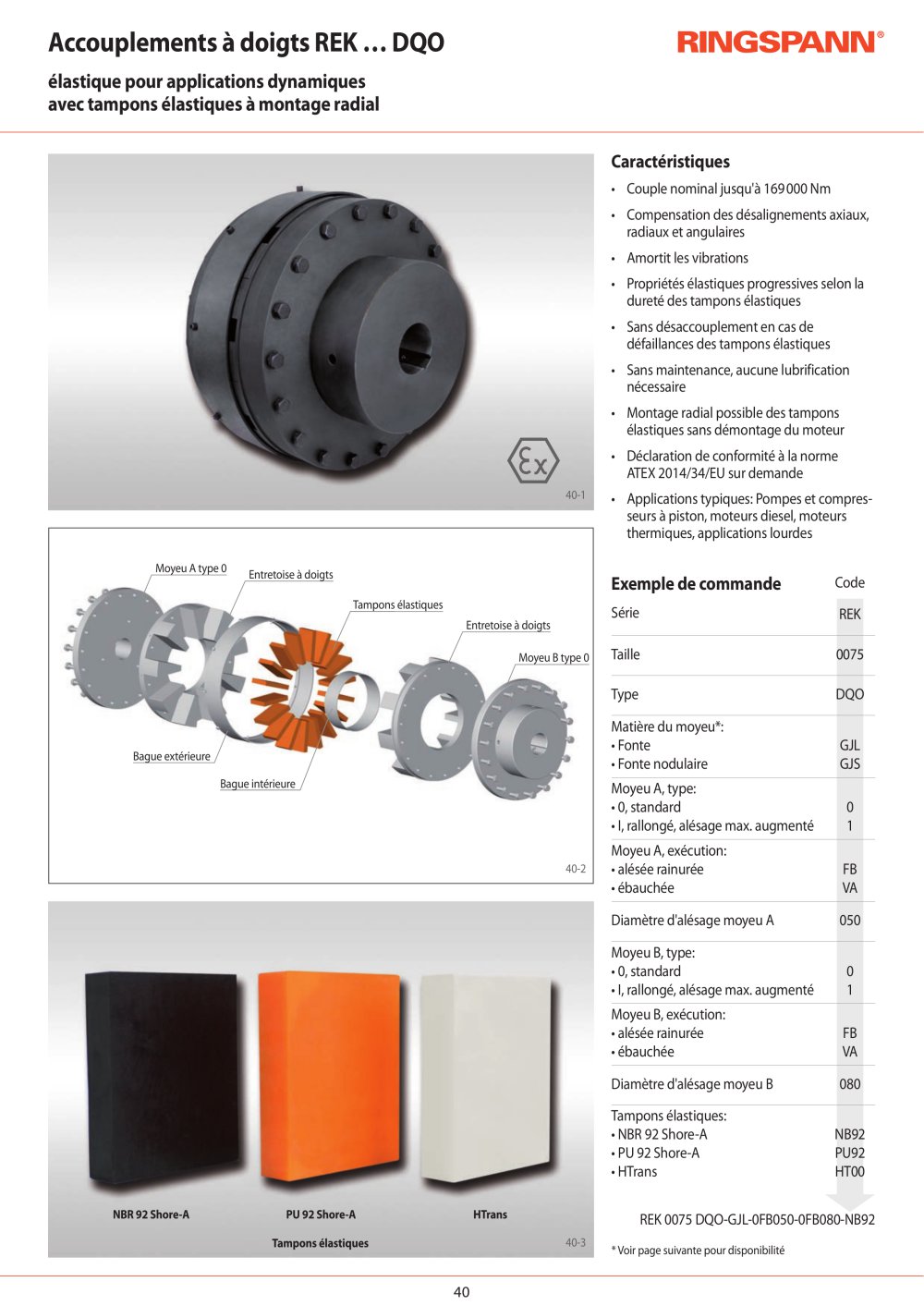 Fiche technique REK &hellip; DQO - RINGSPANN