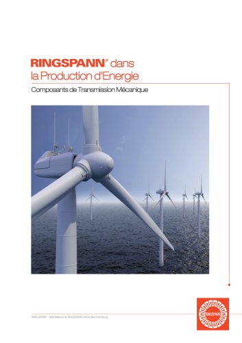 RINGSPANN dans la Production d'Energie