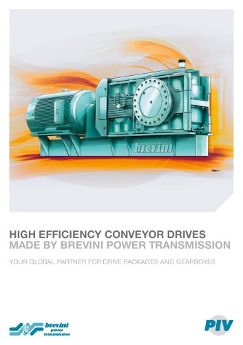 Conveyor Drives