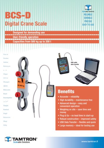 BCS-D crane scale