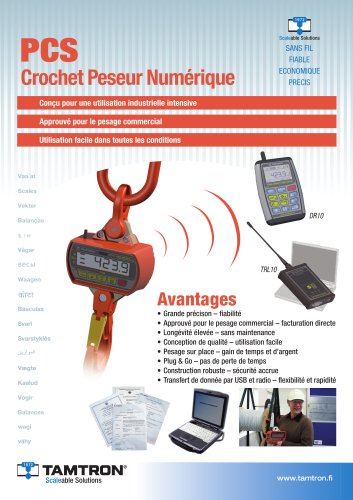 PCS crane scale