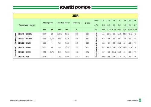 Electric submersible pumps  3ER