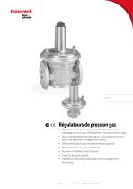 Régulateur de pression de gaz VGBF - 1