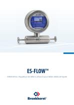 ES-FLOW débitmètres liquides à ultrasons-1