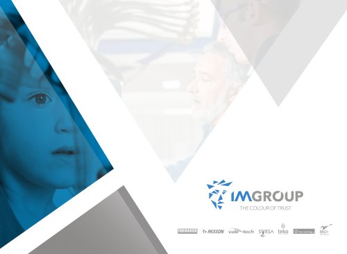 IM GROUP Corp. Profile_FR