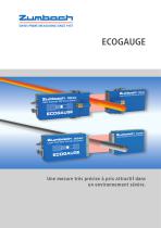 ECOGAUGE - 1