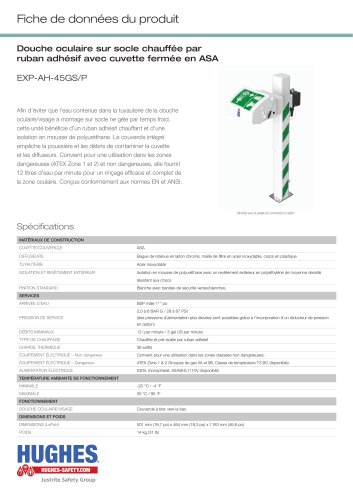 EXP-AH-45GS/P Datasheet
