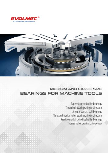 Medium and large size bearings for machine tools