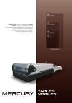 Mercury Fiber - Brochure - 7