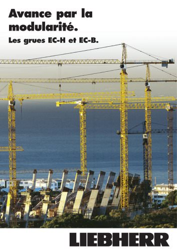 Avance par la modularité. Les grues EC-H et EC-B.