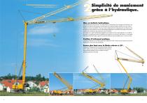 Les grues H. Au summum des performances - 4