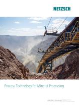 Process Technology for Mineral Processing