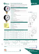 Pressure gauge with plastic case