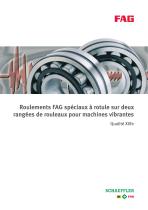 Roulements FAG spéciaux à rotule sur deux rangées de rouleaux pour machines vibrantes Qualité Xlife - 1