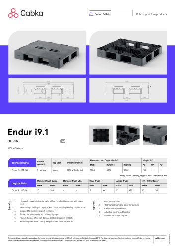 Endur i9.1