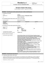 SDS Finishxpert Filler