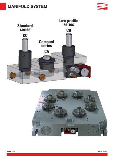 MANIFOLD SYSTEM