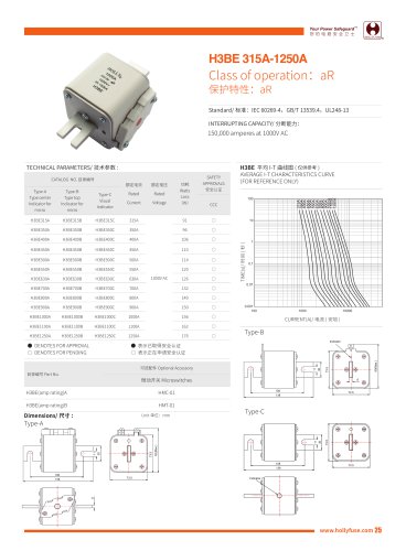 Hollyland Energy Storage Fuses H3BE series