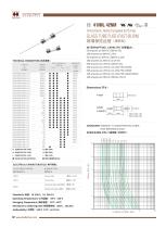 Hollyland Glass Tube Microfuse 41NM,42NM Series