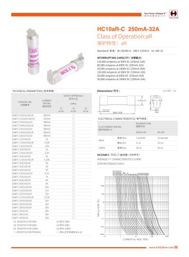 Hollyland HC10aR-C 10x38mm Cylinder Fuses