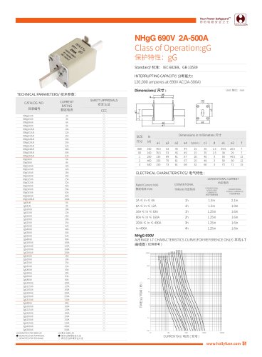 Hollyland NHgG 690V AC Class gG Fuses