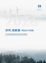 Hollyland Powerfuse