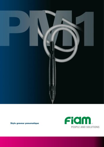 Stylo graveur pneumatique