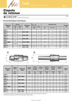 Clapets de retenue - 5